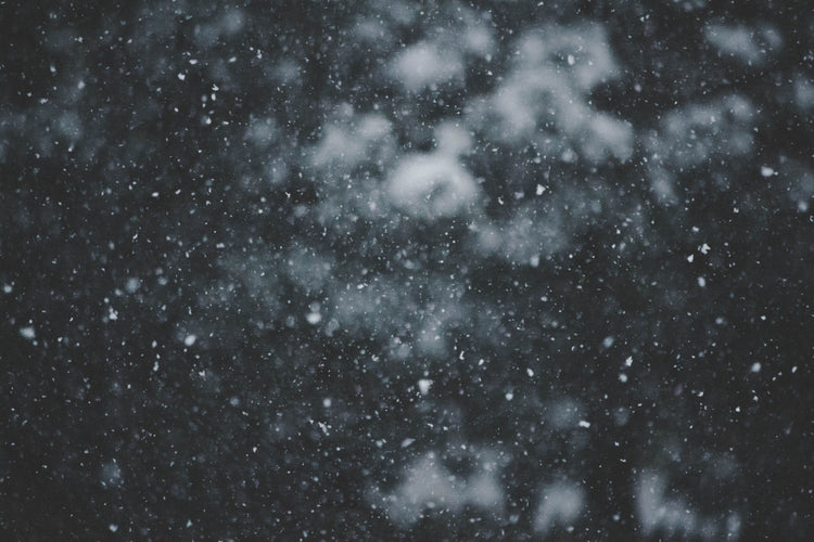 Winter Scents