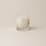 BURN THE BAGGAGE CANDLE (feat. KELSEA BALLERINI) Candle Tennessee Iris / Orris / Sandalwood / Breaking Patterns 