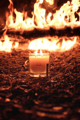 BURNING CHRISTMAS TREE CANDLE (LIMITED EDITION) Candle Ranger Station 